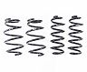 RS-R Down Sus Lowering Springs - US Spec