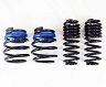 RS-R Down Sus Lowering Springs - USA Spec