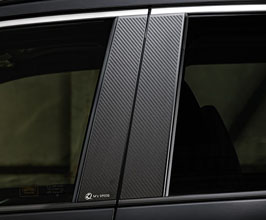 Mz Speed CROSS LINE B-Pillar Panels (AES with Carbon Look) for Toyota RAV4 XA50