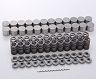 TOMEI Japan Valve Springs and Inner Shim Kit