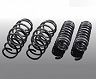 AC Schnitzer Suspension Lowering Springs