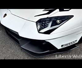Liberty Walk Test for Universal Universal