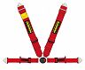 Schroth Racing PROFI II-FE ASM 4-Point Harness - 3in Snap-In