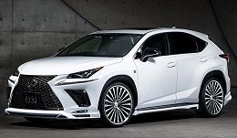 Virtual Car Show: Lexus NX AZ10