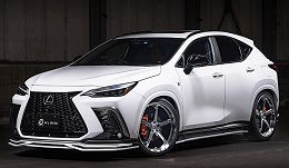 Virtual Car Show: Lexus NX AZ20