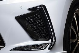 Lexus RX300 F Sport 2020